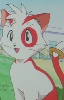 Nyan